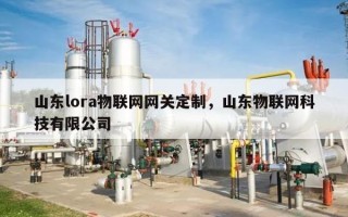 山东lora物联网网关定制，山东物联网科技有限公司