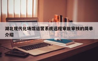 湖北现代化场馆运营系统远程审批审核的简单介绍