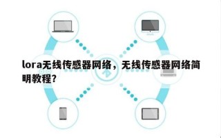 lora无线传感器网络，无线传感器网络简明教程？