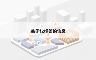 关于t2标签的信息