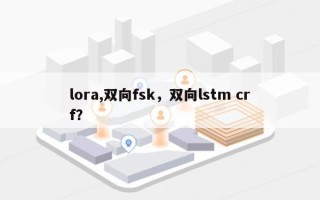 lora,双向fsk，双向lstm crf？