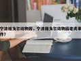 宁波雅戈尔动物园，宁波雅戈尔动物园老虎事件？