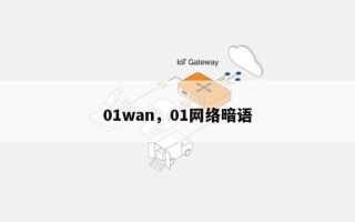 01wan，01网络暗语