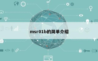 msr01b的简单介绍