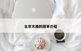 北京大雨的简单介绍