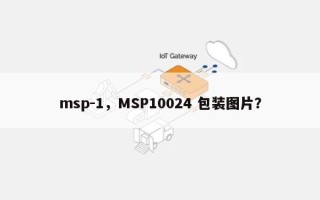 msp-1，MSP10024 包装图片？