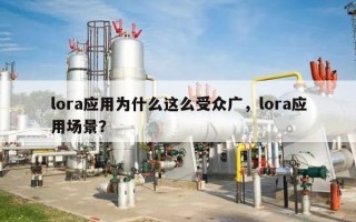 lora应用为什么这么受众广，lora应用场景？