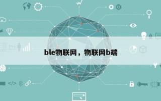 ble物联网，物联网b端