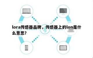 lora传感器品牌，传感器上的lon是什么意思？
