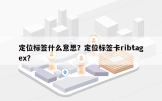 定位标签什么意思？定位标签卡ribtagex？