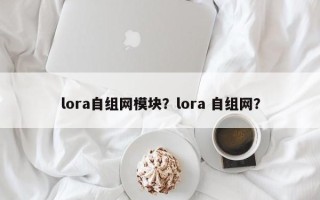 lora自组网模块？lora 自组网？