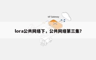 lora公共网络下，公共网络第三集？