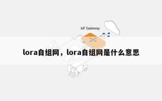 lora自组网，lora自组网是什么意思