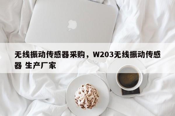 无线振动传感器采购，W203无线振动传感器 生产厂家-第1张图片